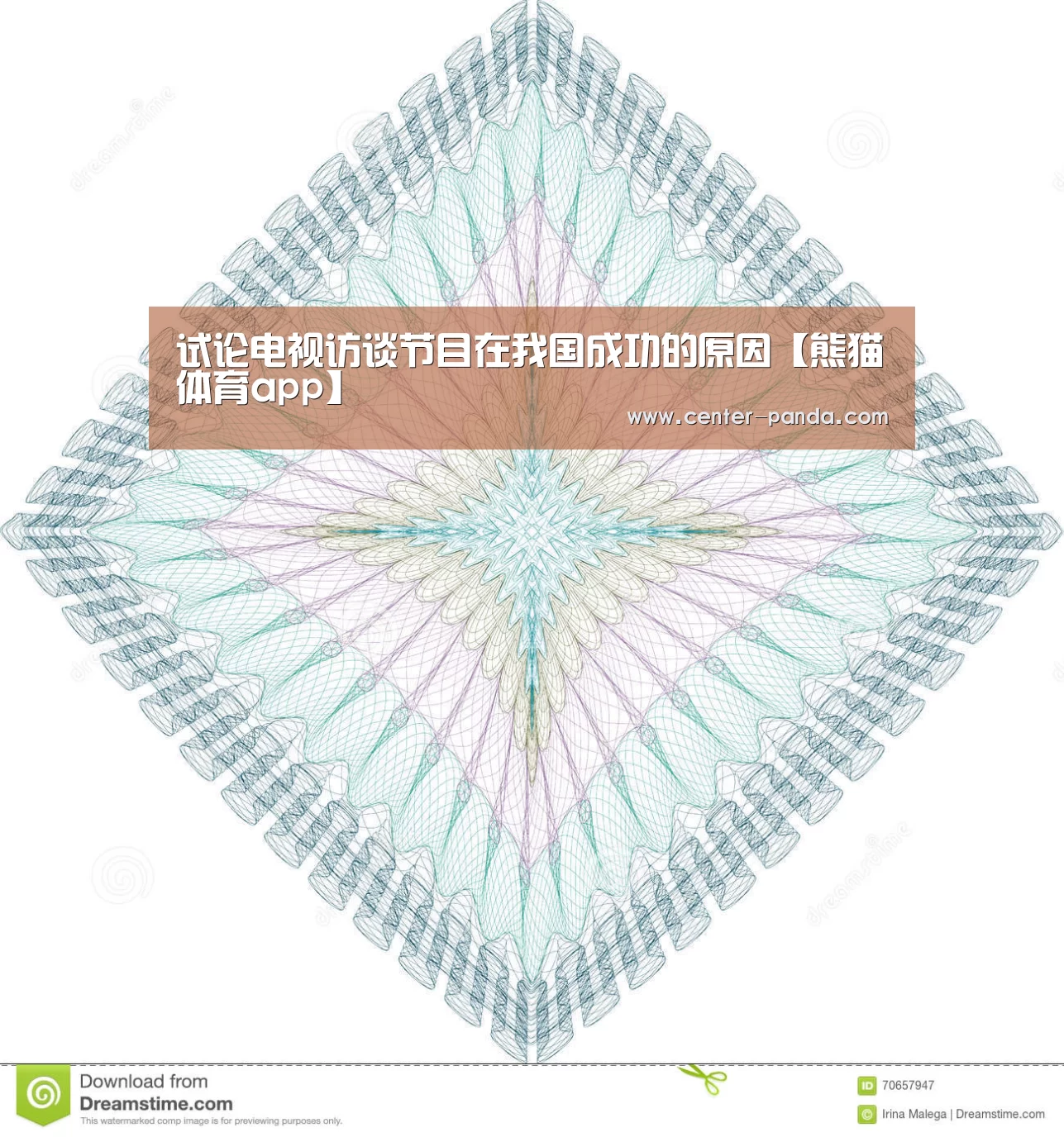 试论电视访谈节目在我国成功的原因【熊猫体育app】(图1) 熊猫体育平台