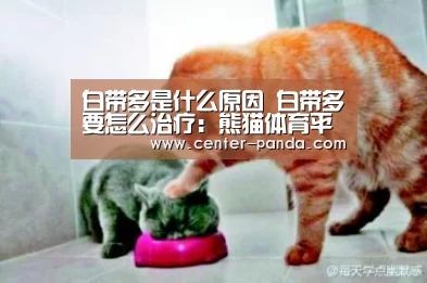 白带多是什么原因 白带多要怎么治疗:熊猫体育平台(图2) 熊猫体育官网