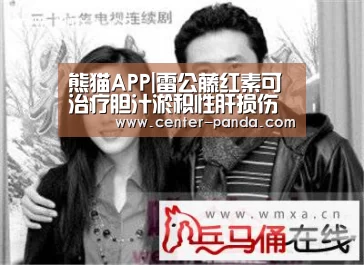 熊猫APP